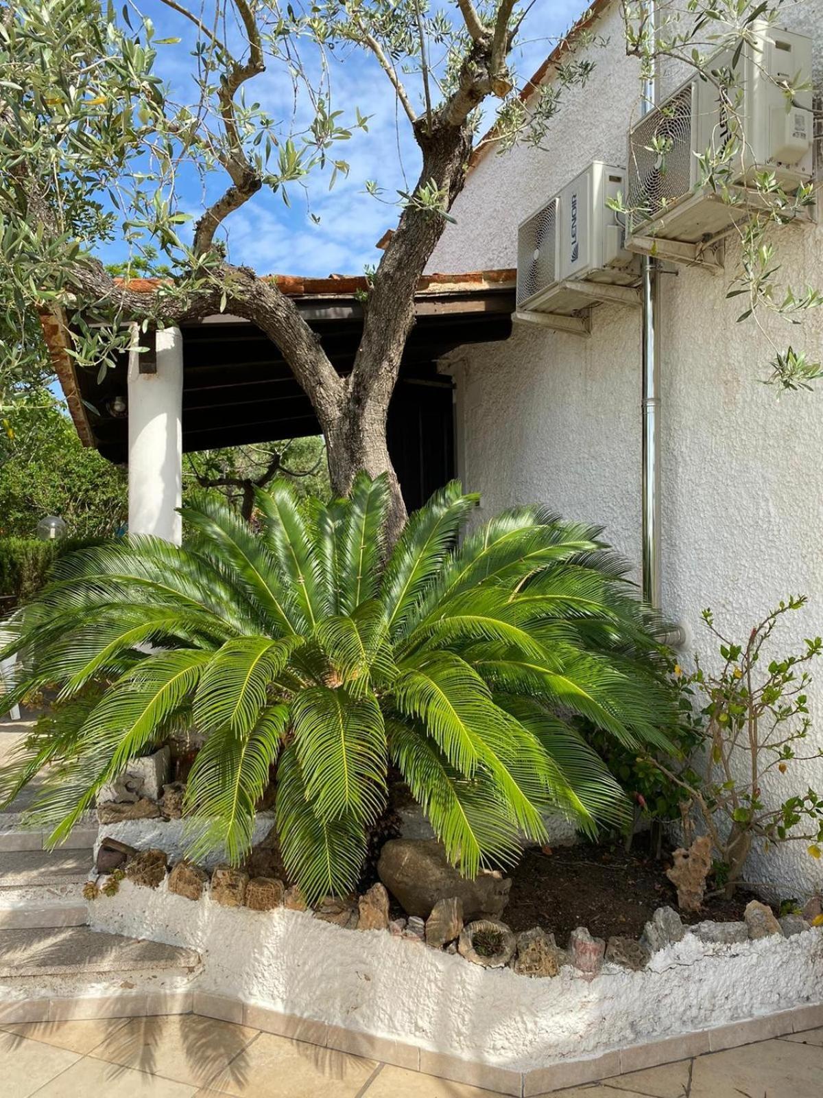 Domo Angheleda - Alghero Casa Indipendente Vicino Al Mare Eksteriør billede